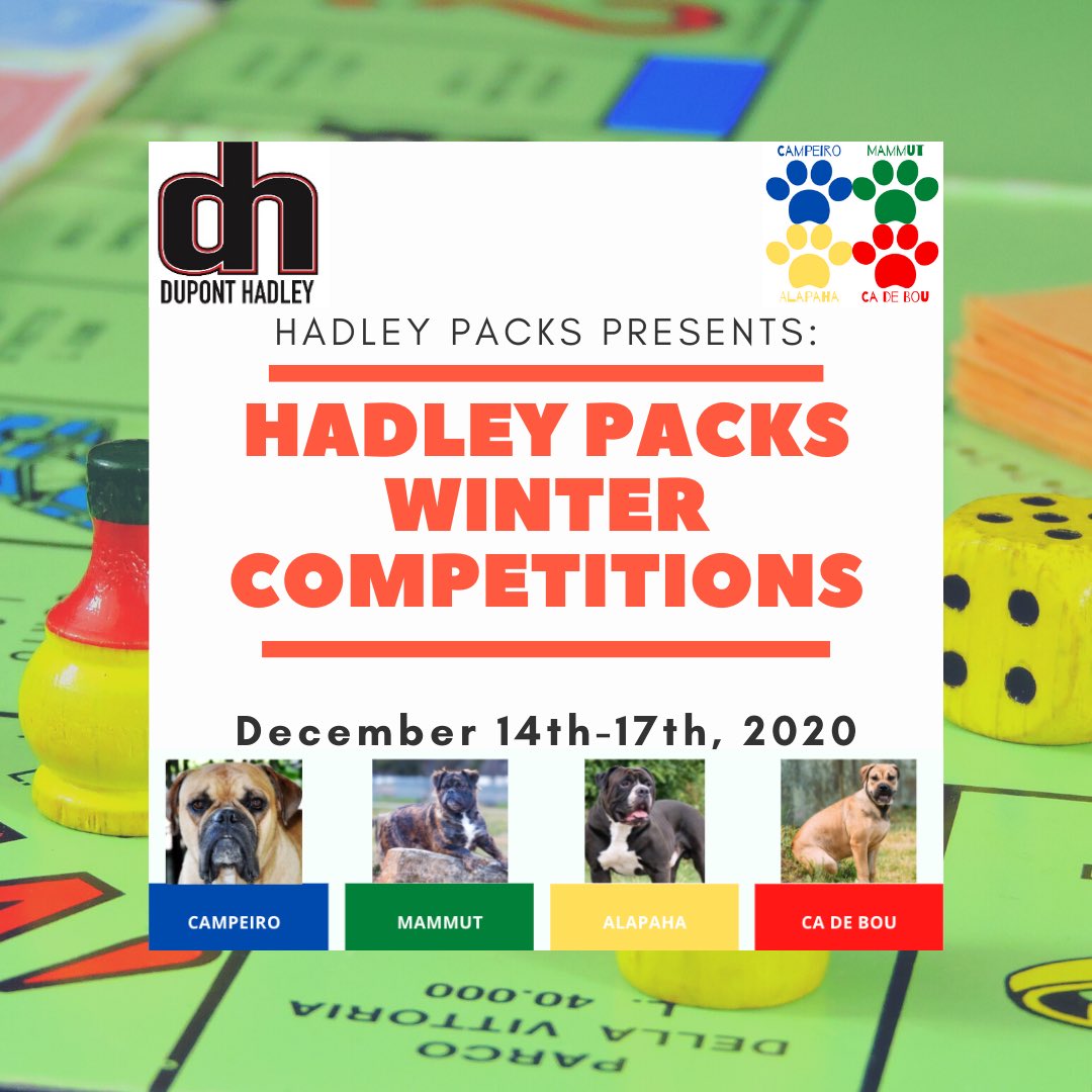 hadleymiddle tweet media