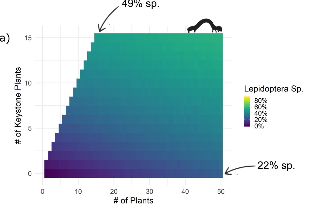 We found that for woody plants, including keystone species supported more species & interactions w/fewer plants compared to prioritizing species richness. For herbaceous plants, including keystone supported 2-3x more diversity/interactions than prioritizing species richness alone