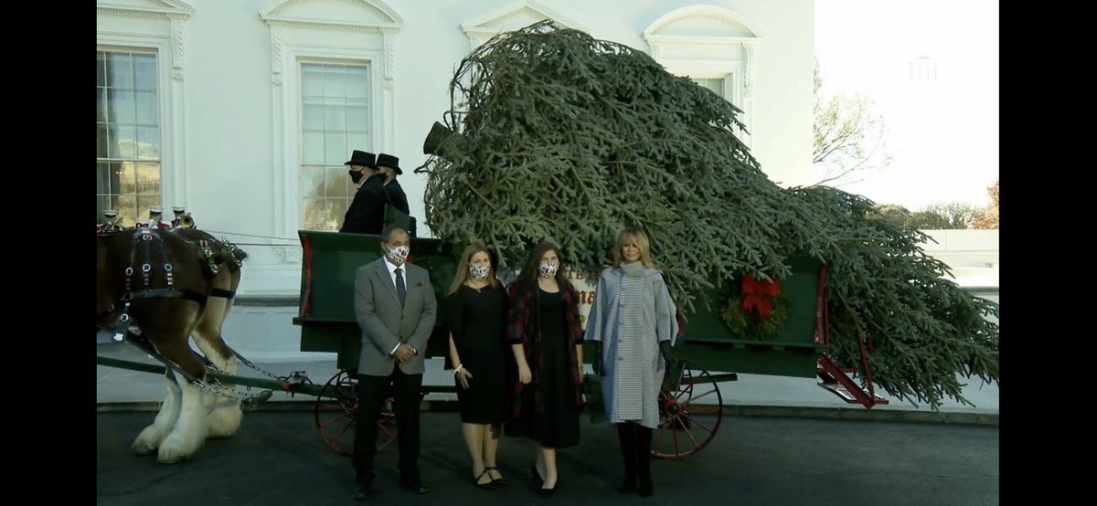 What is it about this family? Everyone else has a mask on, and Madam of the WH chooses to have her mask hanging below her chin