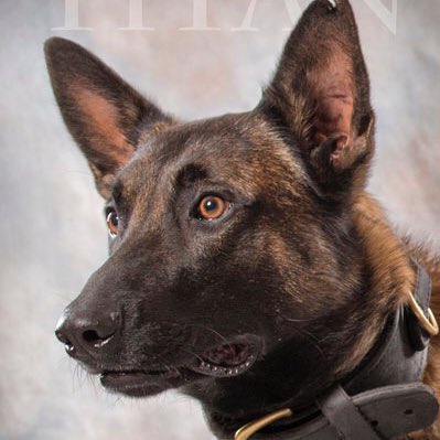 Johnstown Police (PA) tweet media