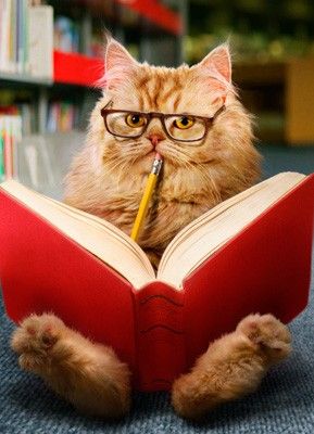 EmmaMcLeducate's tweet photo. I'm thinking....

#thinking, #pondering, #wondering, #whichpost, #whattosay, #suitable, #timely, #interesting, #fortheweekahead, #positive, #letmethink, #hopeful #dreaming #wishing &amp; pondering.... https://t.co/Q4PlTPxd8T