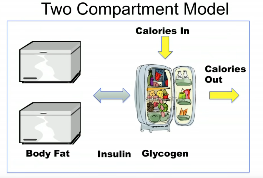  #IntermittentFasting Calories in : calories out - not that simple.Rather 2 compartment model - Insulin blocks fat from being burned from reserves.-Fasting appears to be the main component impacting insulin resistance, fat reserves.  @drjasonfung 