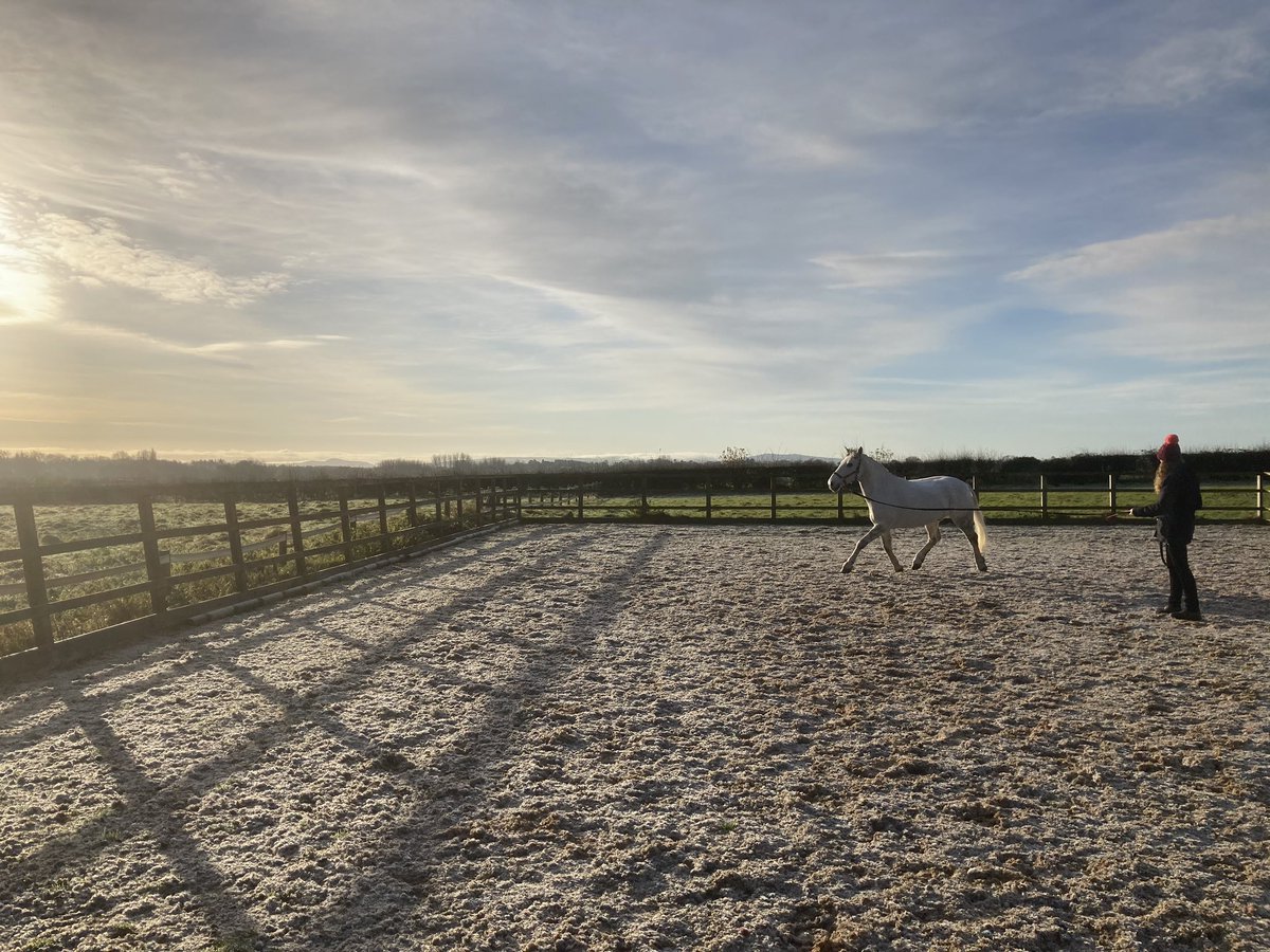 What a way to start the week!! Wish the weather was like this everyday - can’t complain about assessing lameness in these settings ☀️ #fyrnwyequine #equinevet #shropshirevet