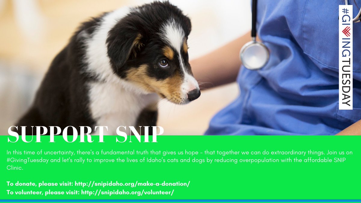 In this time of uncertainty, there's a fundamental truth that gives us hope - that together we can do extraordinary things. Join us on #GivingTuesday2020 and let's rally together to improve the lives of Idaho's cats and dogs by reducing overpopulation through the SNIP Clinic.