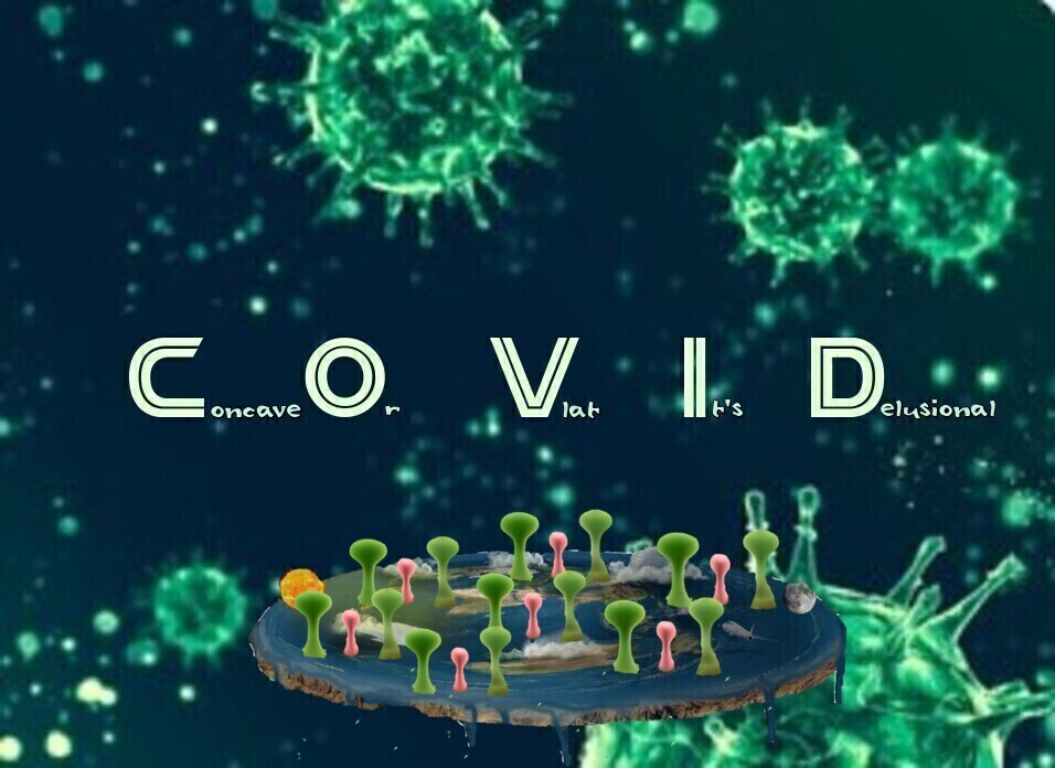 ShillBitch's tweet photo. While viruses spread easily in weak bodies, the same thing happens with conspiracy theories in weak minds. Especially when antibodies in the form of education are missing. #FlatEarth #COVIDIOTS #Conspiritards https://t.co/tXqsQ4lD74