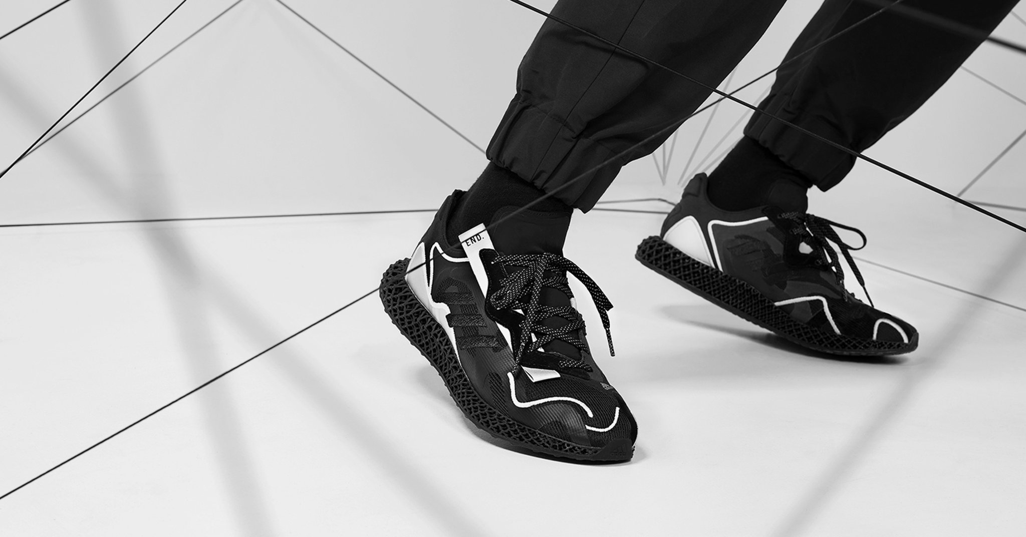 evo 4d dark matter