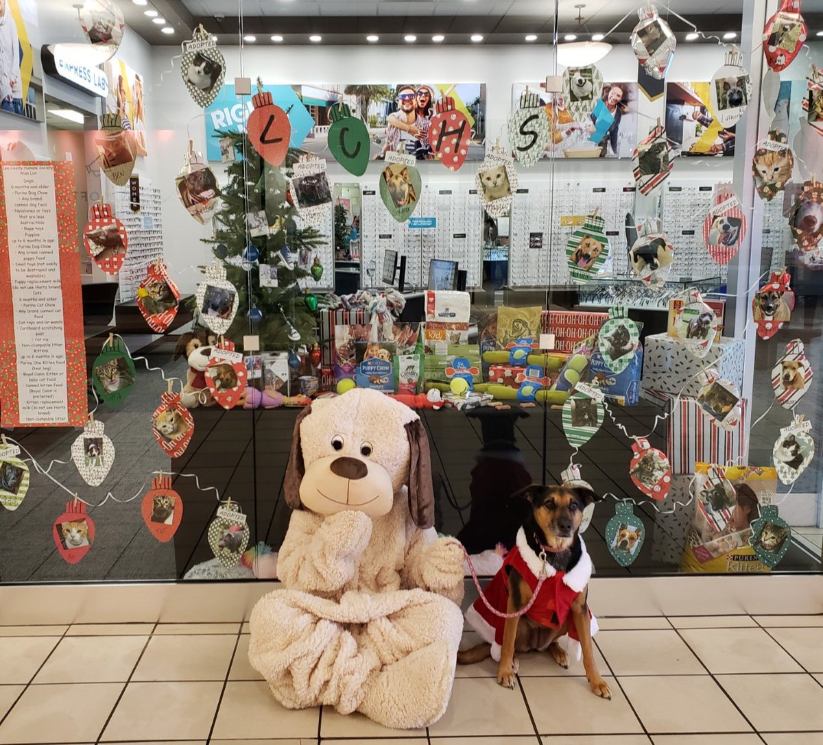 Eyemart Express Store 231 Auburn, AL has chosen Lee County Humane Society (LCHS) for this year's Let's Give Back! Change a pet's life one donation at a time. Store 231 will be accepting donations of food and supplies through December 19th. Thank you <a href="/EyemartExpress/">Eyemart Express</a>!