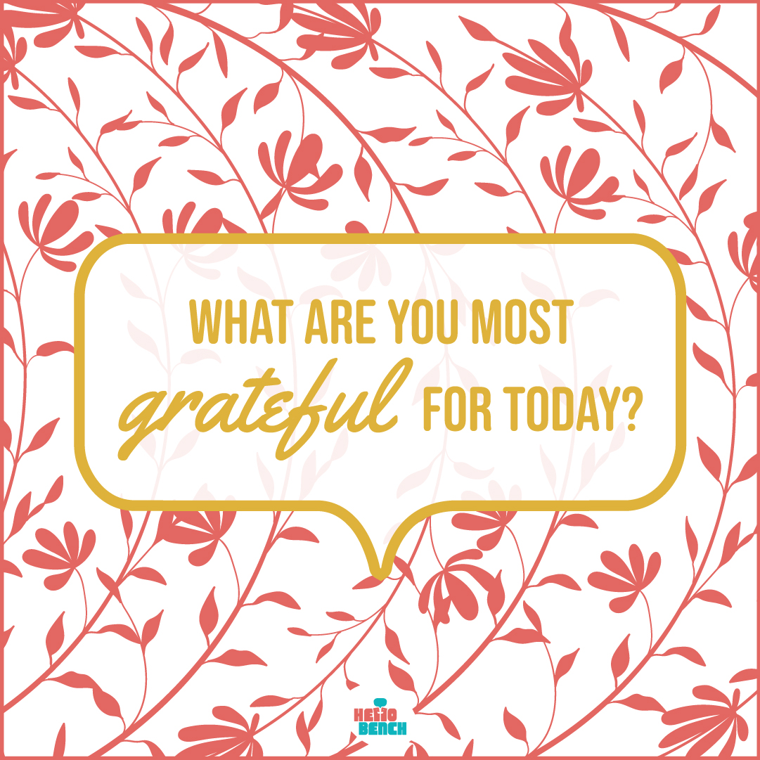 Hello Bench Project tweet media