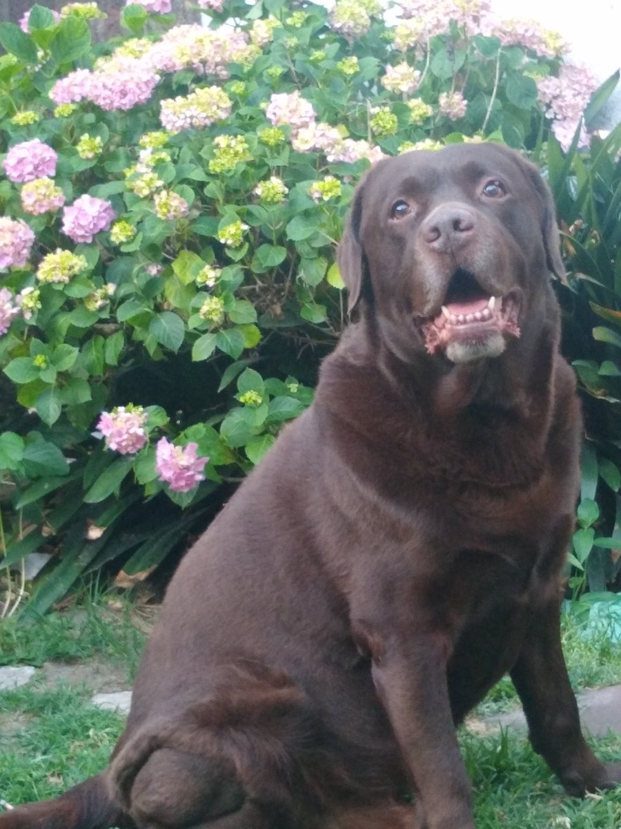 brunito 🦑 tweet media