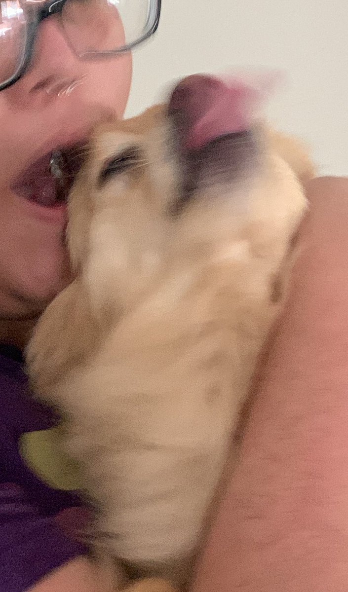 official_floof's tweet photo. I am crazy 👁👅👁
but I am free 😌 https://t.co/1Eb7rkNhN0