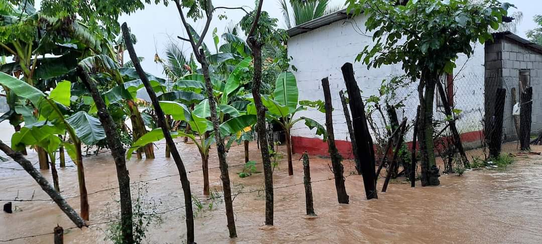 HondurasRosales's tweet photo. #URGENTE -🚨 ÚLTIMA HORA 🚨
Son las 4:09 pm. Varias viviendas inundadas en la parte baja sector de las pilastras, debido a que se ha desbordado el Rio Cuyamel, en Omoa, Cortes.
#NoticiasRosales https://t.co/MYlscD0d3T