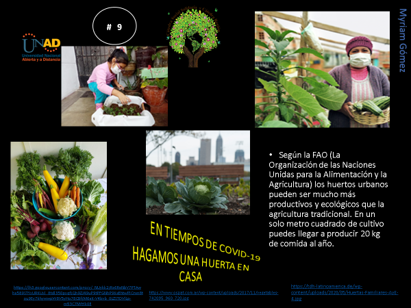 AccinSolidaria3's tweet photo. En estos momentos de pandemia aprovechemos para cultivar en casa.
#SERVICIOSOCIALUNADISTAENCASA #entiemposdecovid #agricultura #HuertaEnCasa https://t.co/NLdV1YzIRW