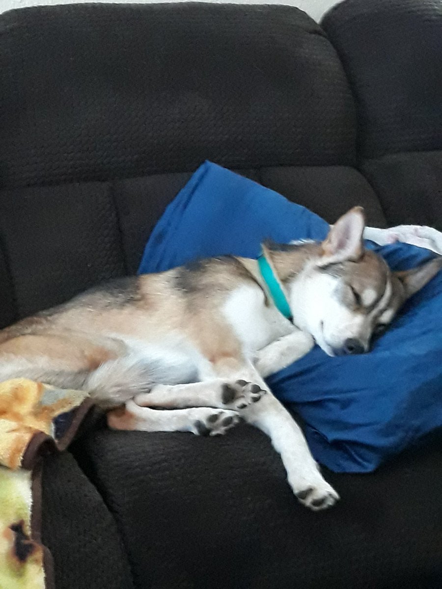 I work safe everyday so this precious girl has her daddy! #whyIworksafe #D274 <a href="/TamaraRoden/">Tamara Roden</a> <a href="/Bselch/">Brianna Selch</a> <a href="/SandraDensem/">Sandra Densem</a>