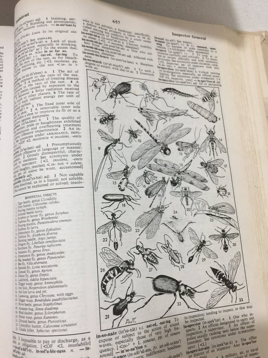 Your scrawny mobile dictionaries will never replace these thicc bois 