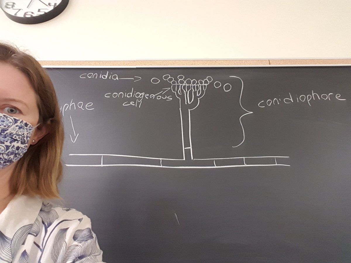 FungalDreamTeam's tweet photo. #mycologize 🇨🇦🍄❤ @AcadiaU ! Pleased to announce a generous new gift, the Dr. William Ashley Harrison Endowment Fund to support student research in mycology! @NancyHandrigan Excellent teaching and research support at Acadia @AcadiaScience @acadiaresearch https://t.co/tUeMEkgREz