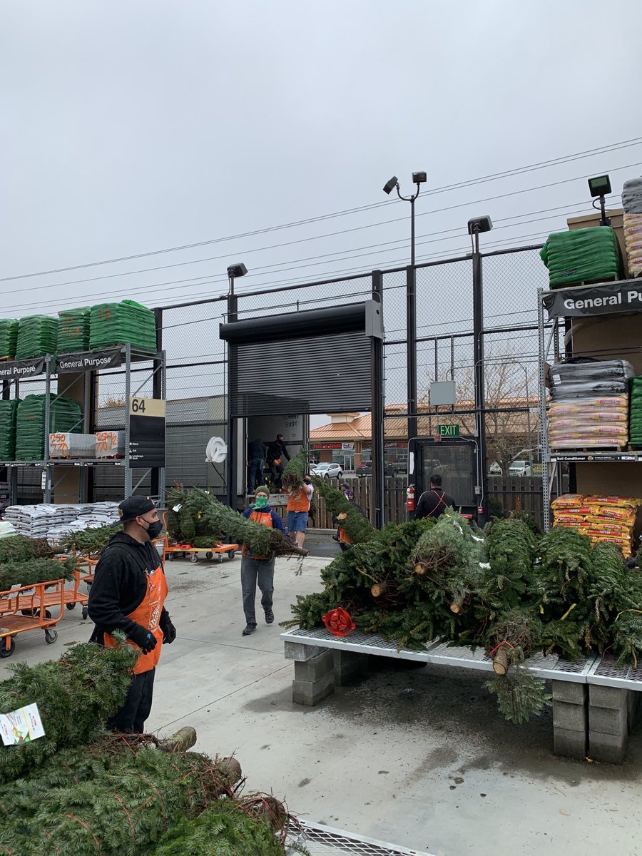 Isaac Hall tweet media