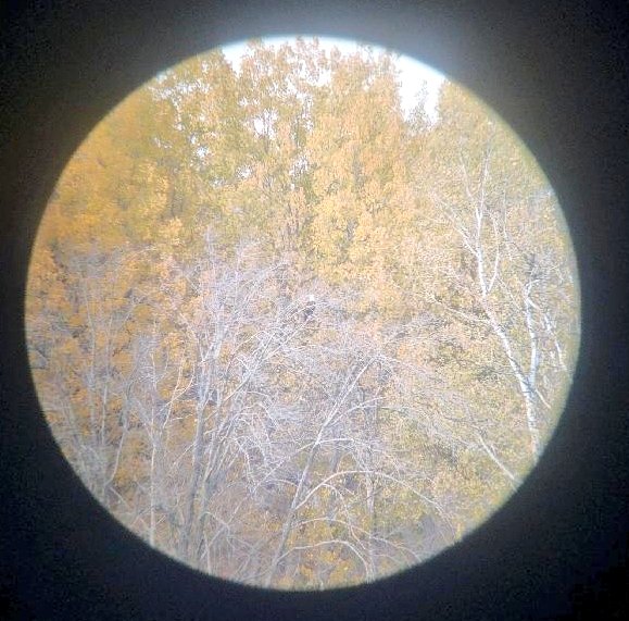 structureNate's tweet image. #looking #never #searching