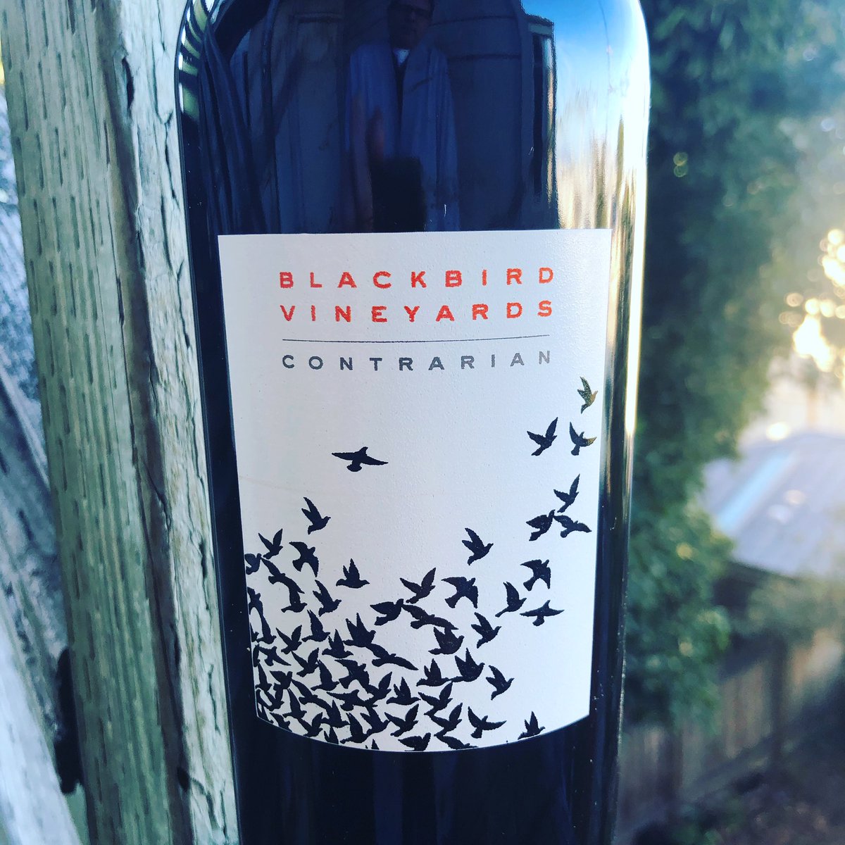 JamesTheWineGuy's tweet photo. For this #BetterBottleMonday which is truly talking about featured wine is the week. This is the 2016 vintage of #blackbirdvineyards Napa Valley Red Wine - #featuredwineoftheweek @RobertLarsen https://t.co/sItqcRNjgA