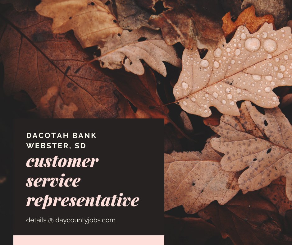 DayCountyJobs's tweet photo. Customer Service Representative @ Dacotah Bank ➡️ https://t.co/AXD9CLIaro

direct link 📌 https://t.co/MQTZpqOEXQ

#daycountyjobs  #southdakotaworks  #hifromSD https://t.co/uyDFr6SgCc