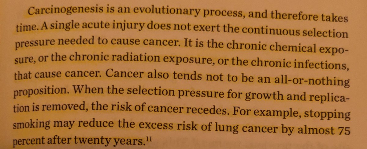 What causes cancers are the bad things you do everyday, not typically the one off events. Audit anything unnatural you do daily (drinks, vitamins, shampoos, soaps, deodorants, make-up, food, household cleaning products, etc).They *all* give you cancer.