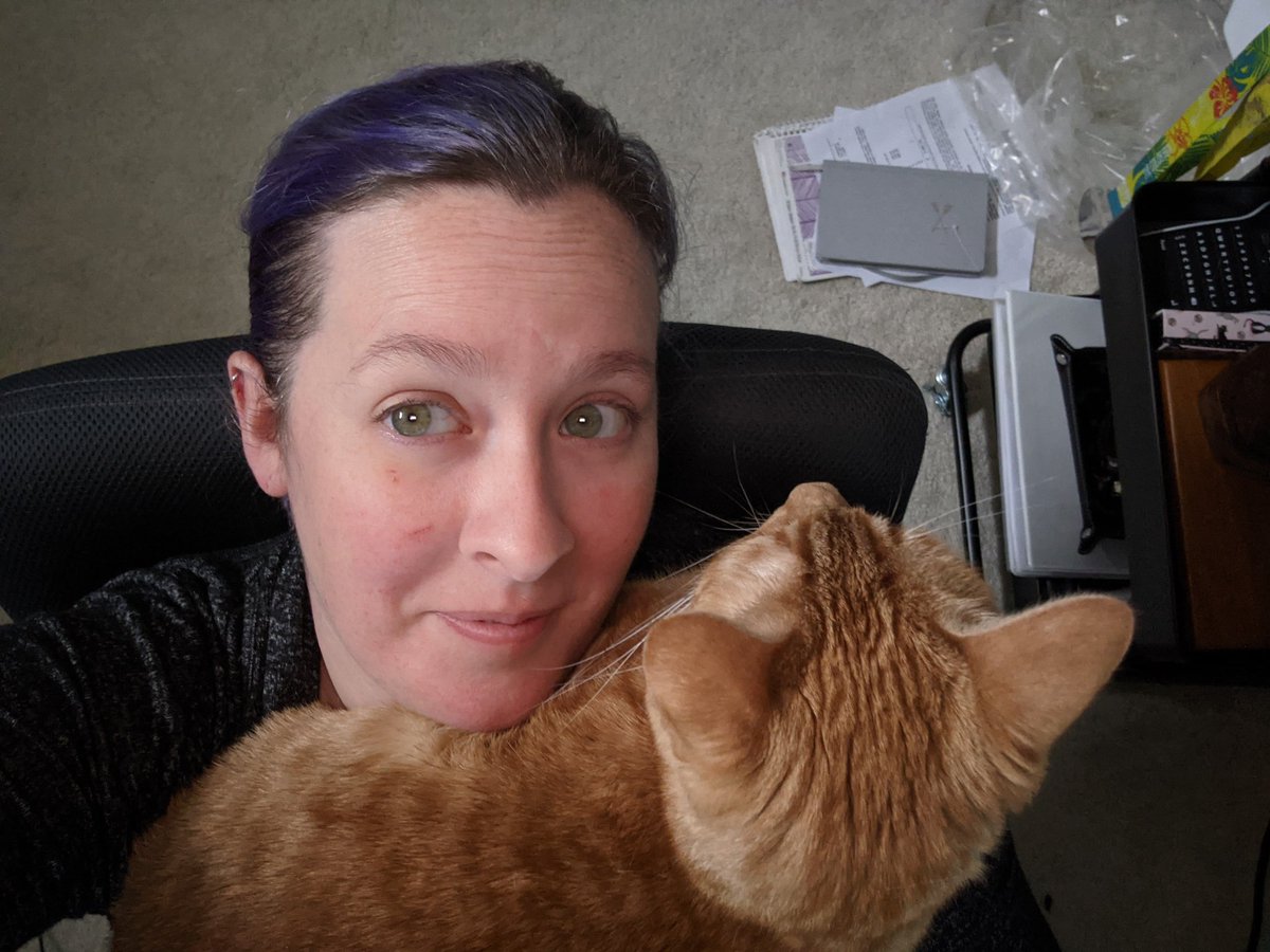 RachelSandidge's tweet photo. My sweet Dexter. He decided it was naptime. I just let him lay while I worked on spreadsheets. https://t.co/VLalmDhtcp