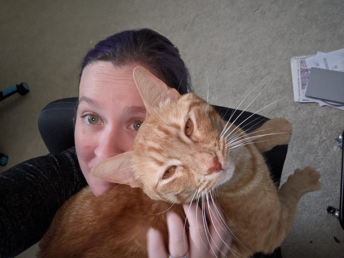 RachelSandidge's tweet photo. My sweet Dexter. He decided it was naptime. I just let him lay while I worked on spreadsheets. https://t.co/VLalmDhtcp