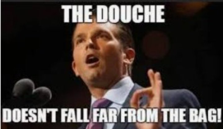 Freedom84725750's tweet photo. @DonaldJTrumpJr @KLoeffler @Perduesenate https://t.co/bRhnjPdoto