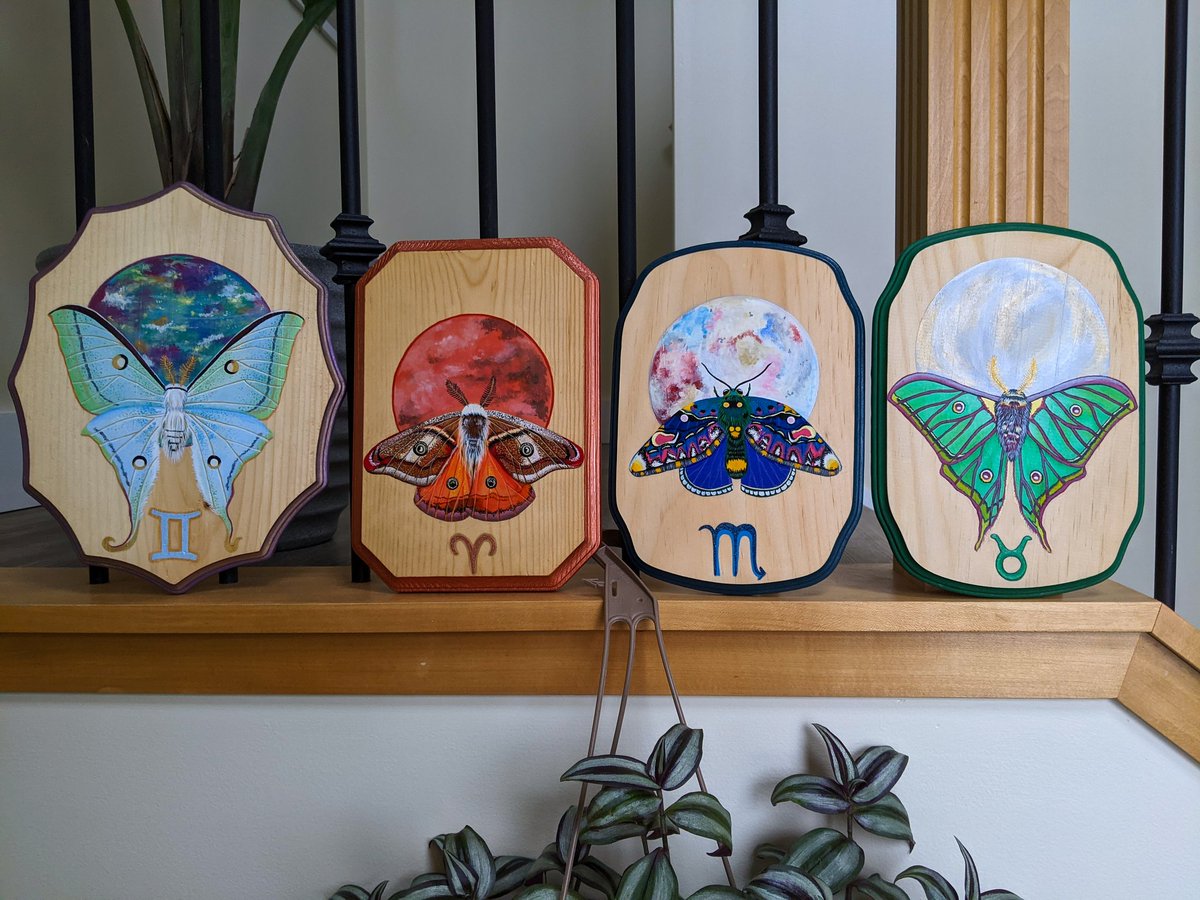 cecropiash's tweet photo. ❄️HOLIDAY GIFT GIVEAWAY❄️

I know money is especially tight for people this year and gifts can be expensive, so I am giving away a customized zodiac plaque to one lucky winner in Canada or the US✨
To enter:
• Retweet and like this post🦋
• Follow me🦋

Giveaway ends 11/27🖤🎁 https://t.co/zeo8jSIkO2