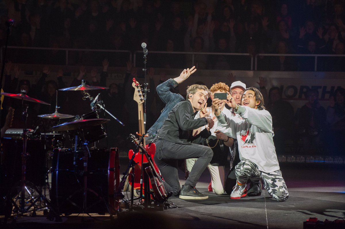 Birds Of Bellwoods Birdsbellwoods Twitter