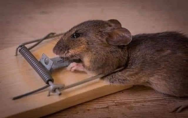 Mr_AliMustafa's tweet photo. You broke my backbone, did I’m guilty because I’m hungry 🥺🥺 
I didn’t mean to hurt you 🥺😭 https://t.co/Md08i5hCwh