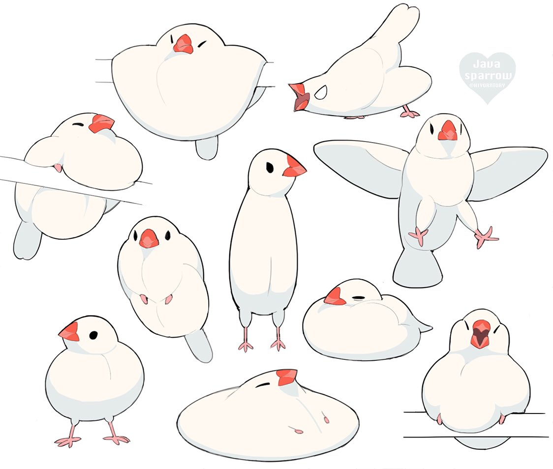 「Java sparrow 」|HIYOのイラスト