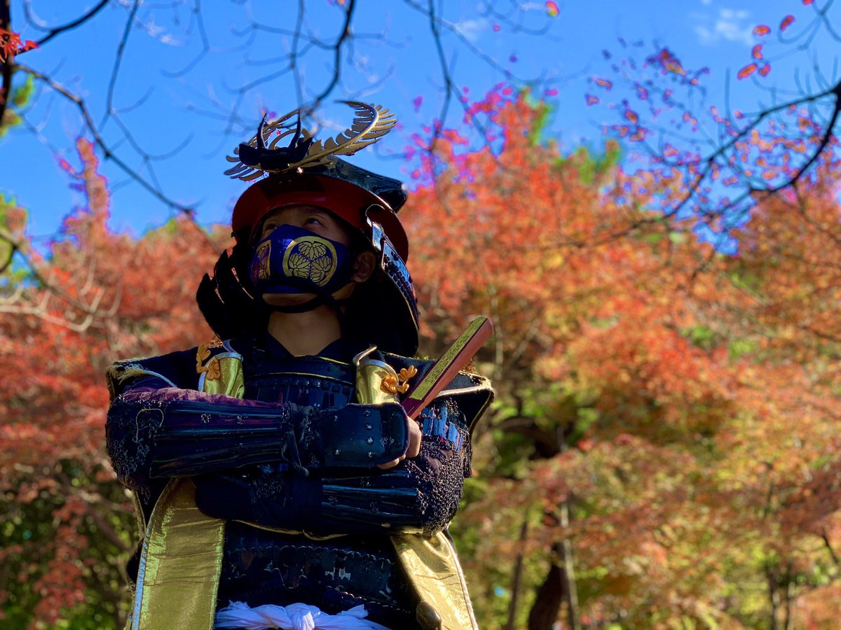 名古屋おもてなし武将隊 على تويتر 紅葉 名古屋城の紅葉は斯様な頃合いにござりまする まだまだ見頃が続く紅葉と徳川家康様をご覧くださりませ どの写し絵がお好みだったかも返文にて教えて下さりませの 陣笠隊なつ 紅葉守 徳川家康 様 名古屋城