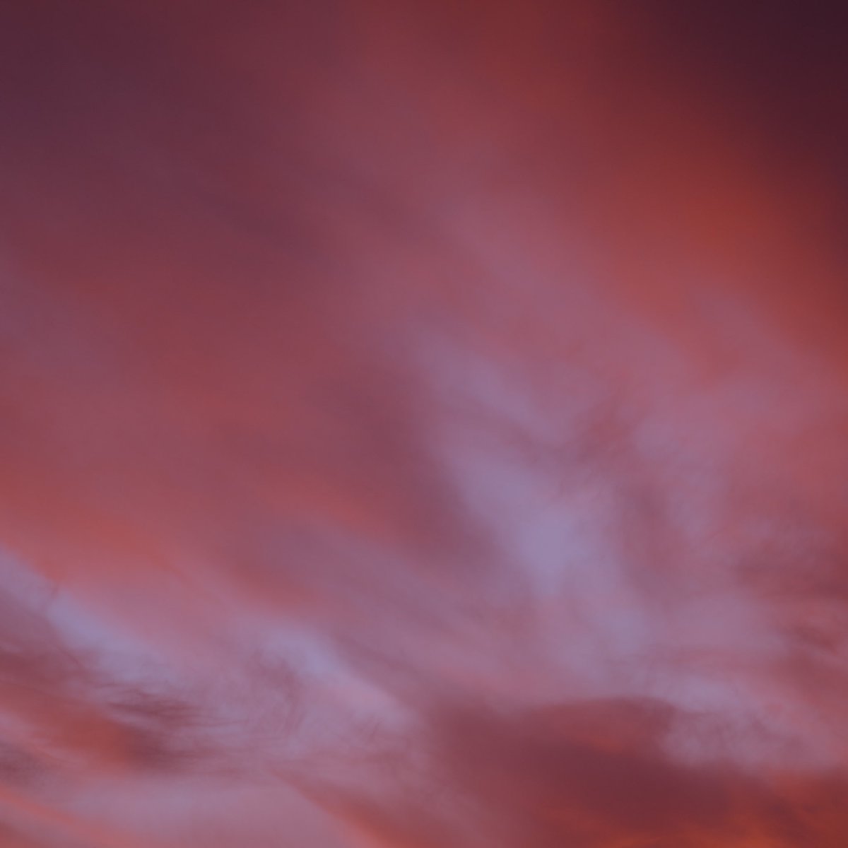 lupeintransit's tweet photo. lemon cotton candy sunset by richard edwards *plays softly in the background* https://t.co/1kmFMgD5qg