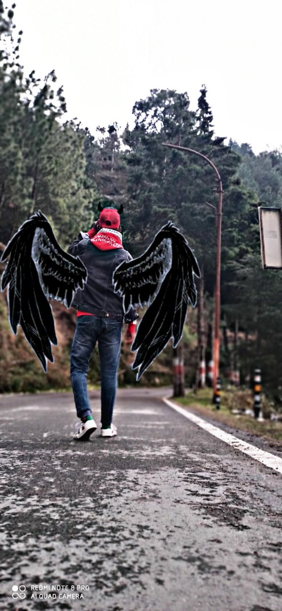 dinky_panda's tweet photo. Time to fly........ https://t.co/RanF8yWT8J