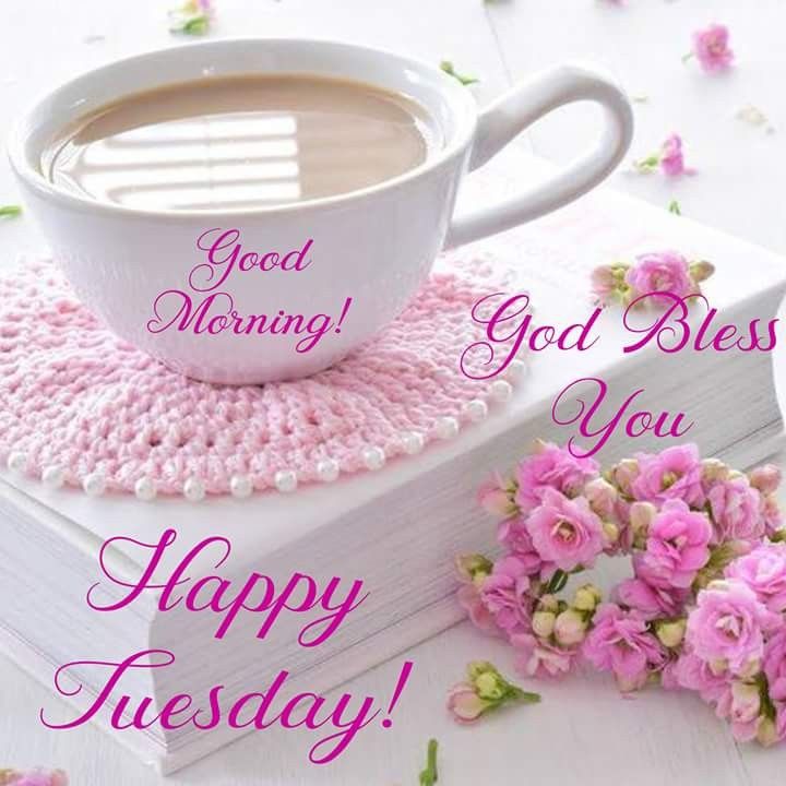 Красивая картинка с мудрыми словами добро утро. Good morning Tuesday. Good morning вторник. Good morning Happy Tuesday. Happy Tuesday morning.