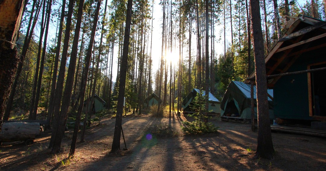 Chilcotinholi's tweet photo. "Look deep into nature, and then you will understand everything better" - Albert Einstein

It's easy to get caught up in distractions and forget what matters in life. Immerse yourself in nature in our cabins and focus on what matters: https://t.co/AvQkvHAwhj

#chilcotinholidays https://t.co/xF04ozB0yc