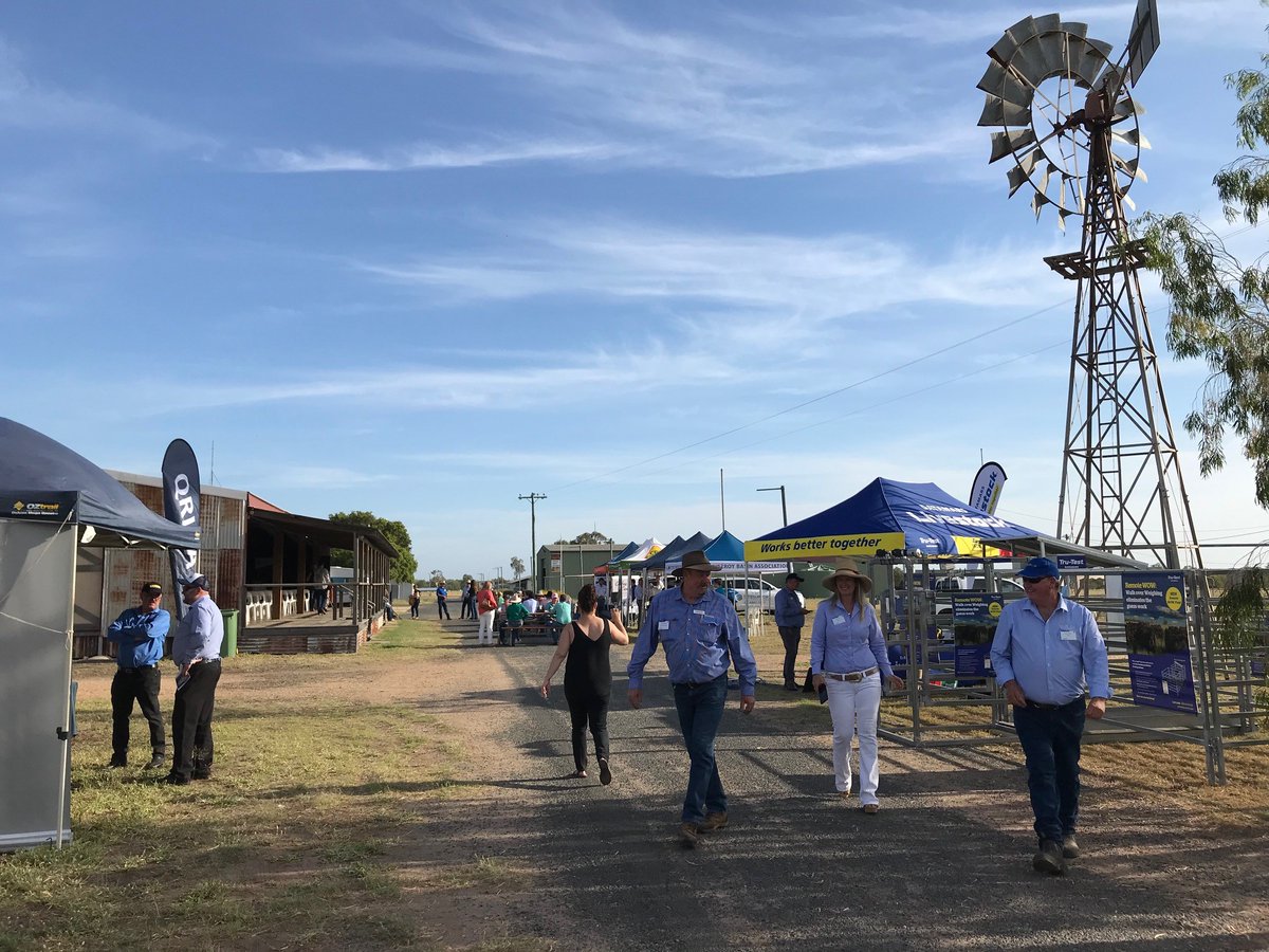 CHDCorp's tweet photo. More snaps from a top morning at #beeftech in the #CentralHighlandsQLD for #qldagtechmonth. #agfrontier #LocalBuyingFoundation @agfrontier @meatlivestock https://t.co/8ax2eGLEI4