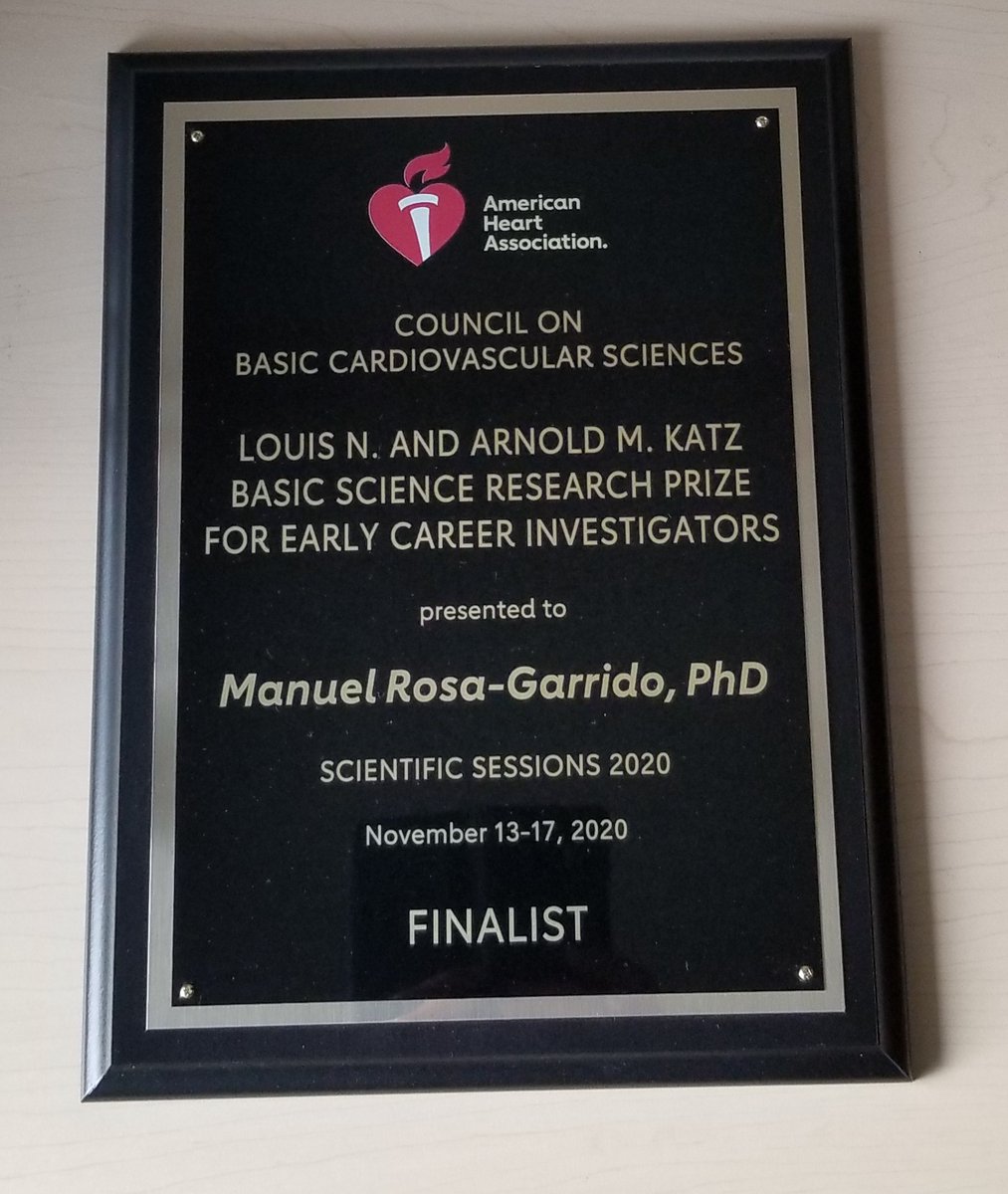 Manuel Rosa-Garrido (@manuelrosagarr1) on Twitter photo Very proud of being one of the finalists! Thank you #BCVS #EarlyCareer #AHA20 <a href="/BCVSearlyCareer/">Basic Cardiovascular Sciences (BCVS) Early Career</a> Very proud of being one of the finalists! Thank you #BCVS #EarlyCareer #AHA20 <a href="/BCVSearlyCareer/">Basic Cardiovascular Sciences (BCVS) Early Career</a>