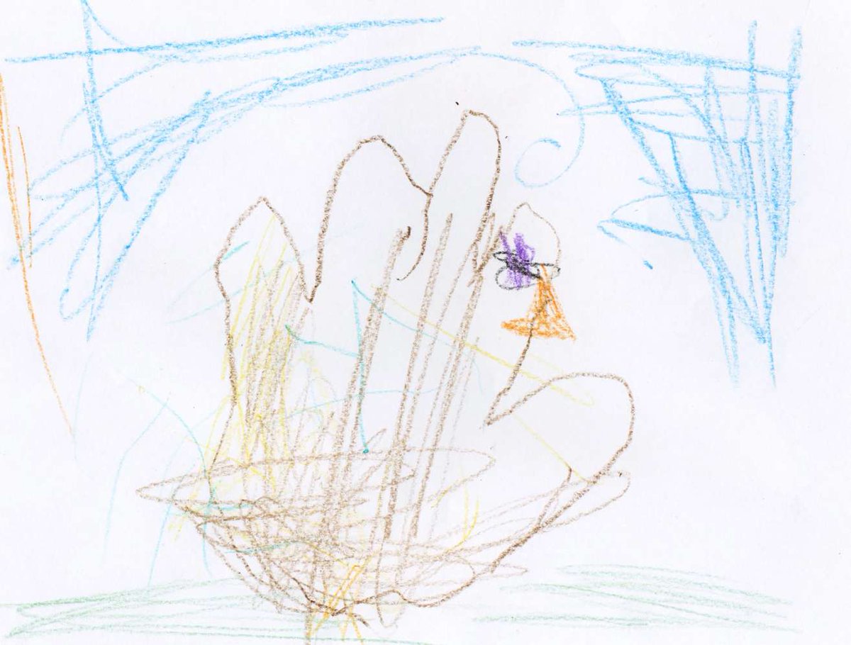 TheOnion's tweet photo. 6-Year-Old Shits Out Half-Assed Hand Turkey https://t.co/XvGqgXJ5v6 https://t.co/o3kumnQxp2