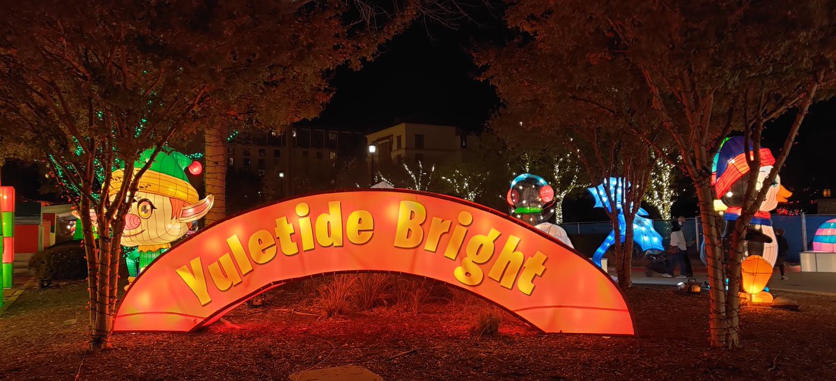 Loving Life In Texas tweet media