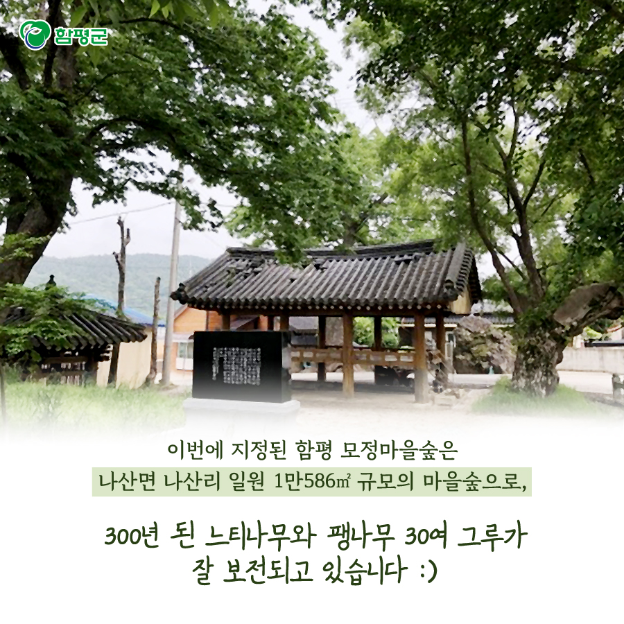 Hampyeong1's tweet photo. 함평 나산면에 있는 모정마��� 숲이
해보면 모평마을숲에 이어 
두 번째 국가산림문화자산으로 지정됐습니다.
자세한 소식, 카드뉴스에서 확인해 보세요^^
#모정마을숲 #모평마을숲 #국가산림문화자산 #산림청 #함평군 https://t.co/ujD41VHCeS