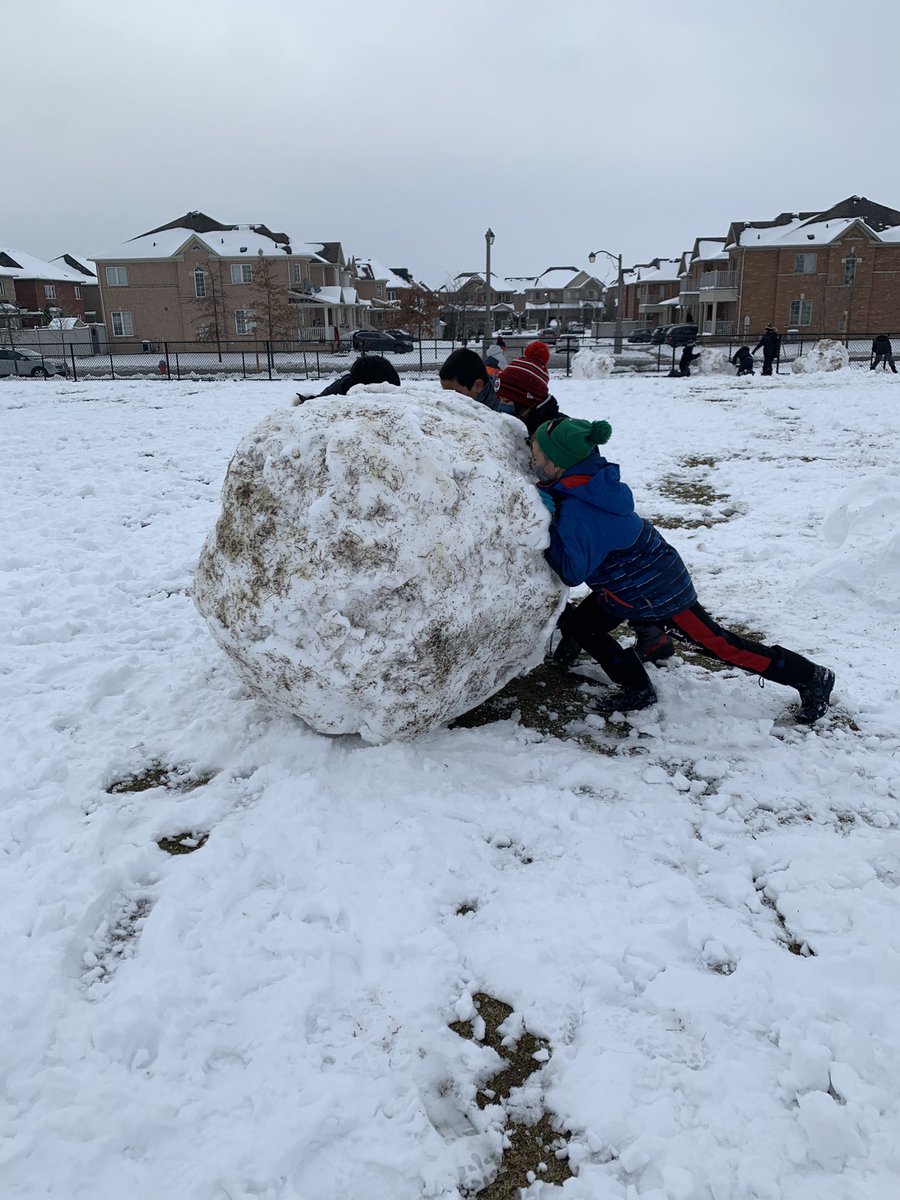 BarbaraReidPS's tweet photo. By afternoon recess the snowballs were bigger than us and massive team effort was required! https://t.co/pOU35VGquu
