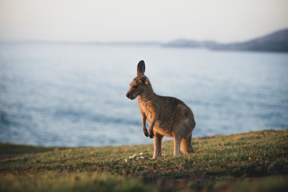 Meetings & Events Australia tweet media