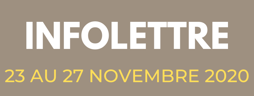 Nouveautés de la semaine du 23  au 27 novembre  2020 ❄ - mailchi.mp/accesemploi/ac… #offredemploi #directionadjointe