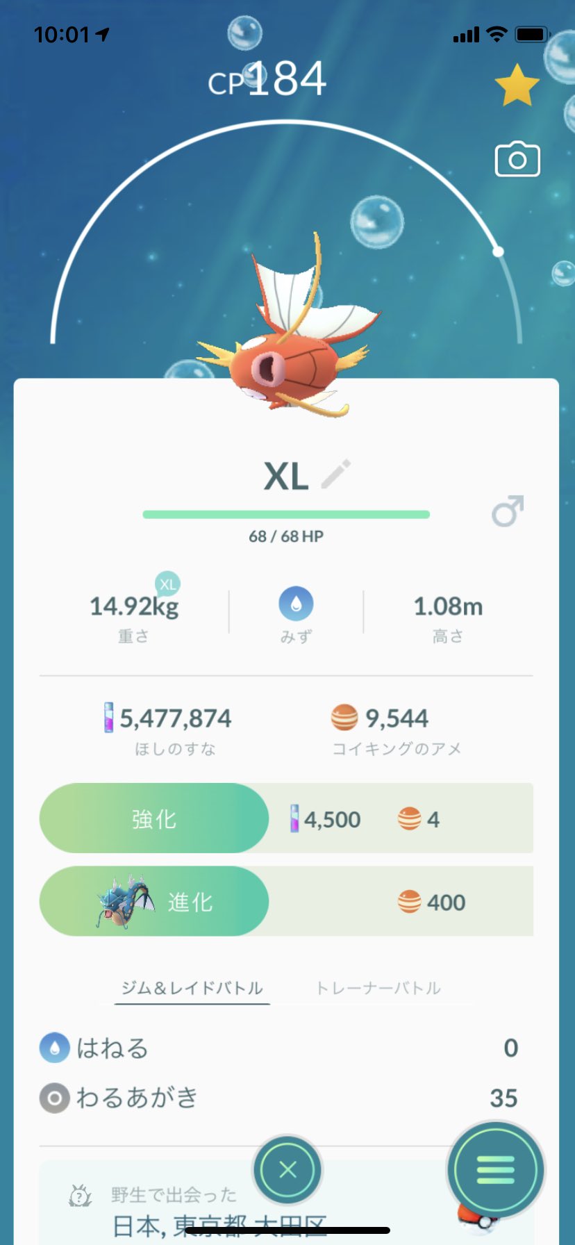 Harutas222 今回のイベント コイキング野生湧きしてますね つりびとメダルプラチナのために巨大なコイキング 13 13kg以上 集めてる方 交換入手でもプラスカウントされるので ぜひ相互交換お願いします 残り167匹 T Co Ubnonfaqp3