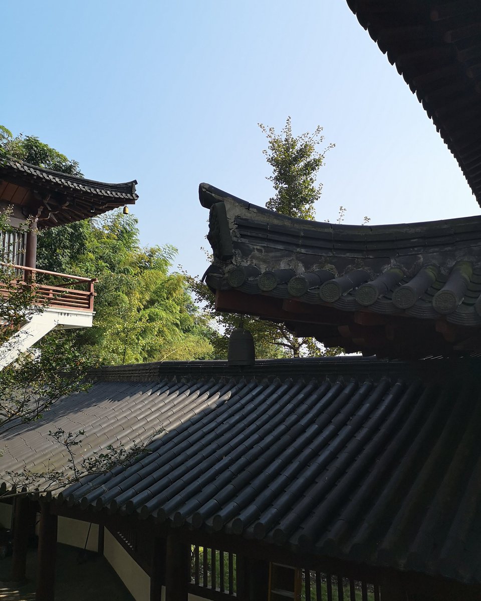 美丽中国
Lugar hermoso de China
Beautiful place of China
#China #travel #travelphotography #traveler #traveling #travelblog #Viajes #viajesyturismo #viajeros #landscape #Paisajes #Tourism #chineselandscape https://t.co/UY8a0M4x3T