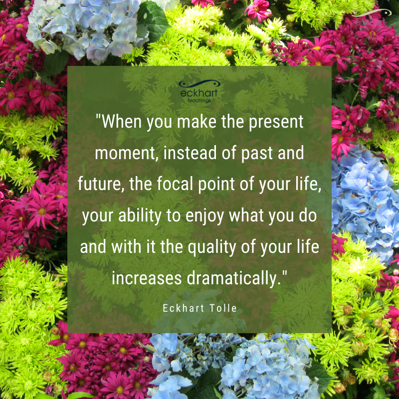 EckhartTolle's tweet photo. "When you make the present moment, instead of past and future, the focal point of your life, your ability to enjoy what you do and with it the quality of your life increases dramatically." - Eckhart Tolle https://t.co/GLRZNLqsJw