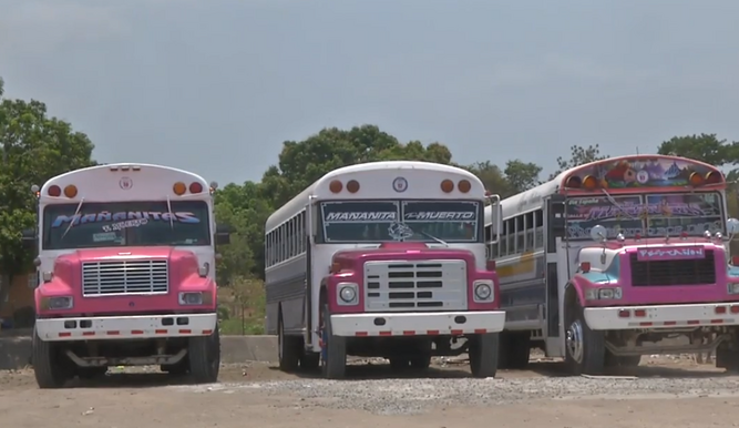 Adelantan diligencias en caso de lesión patrimonial en proceso de compensación a 'Diablos Rojos'. Conoce más en bit.ly/2UYrbOs #NoticiasTVN