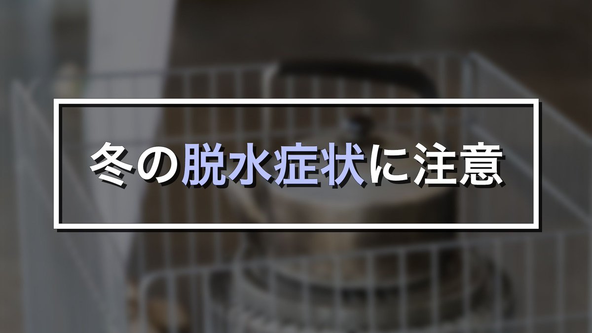 ウェザーニュース 夏に起こりやすいと思われがちな脱水症状ですが 実は冬にも起こる可能性があるんです 脱水症状 は 軽度なら皮膚のかさつき 体がだるい ぼんやりする めまいなどですが 脱水が進むと 頭痛 吐き気 呼吸の乱れ 筋肉のけいれんなど