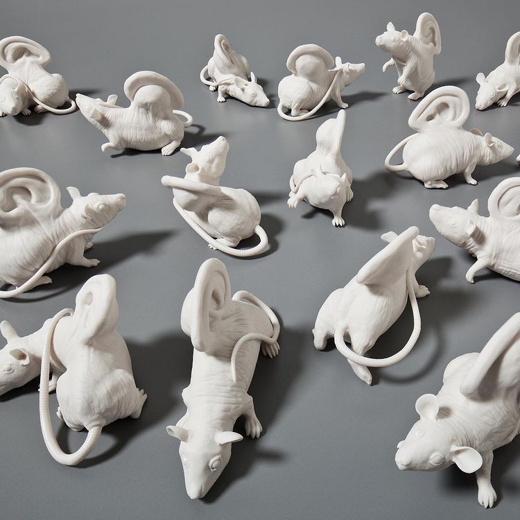 Sculptor @katemacdowell's handcrafted creepy-cute porcelain mice remind us that some of our greatest scientific advances begin with rather revolting experiments!
…
#beautifulbizarre #KateMacDowell #art #artwork #mice 🐁#mouse🐁 #porcelainsculpture #quietasamouse #sculpture #ears